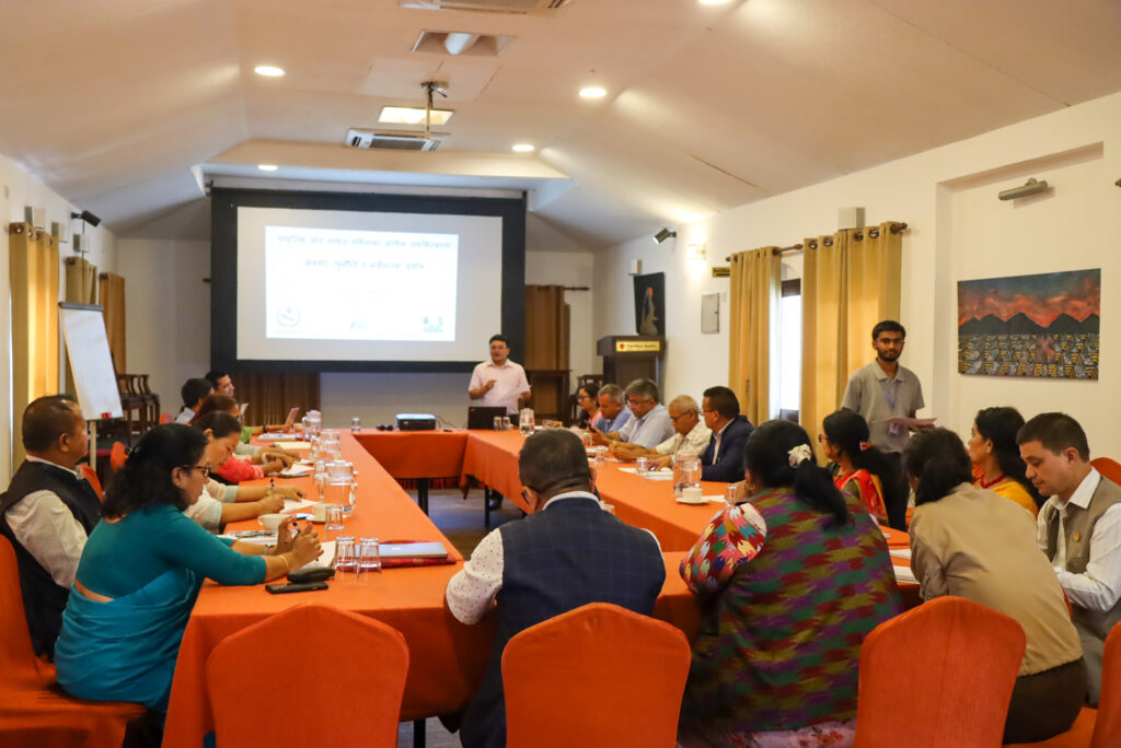 2025 07 21 IMG 9999 12 1024x684