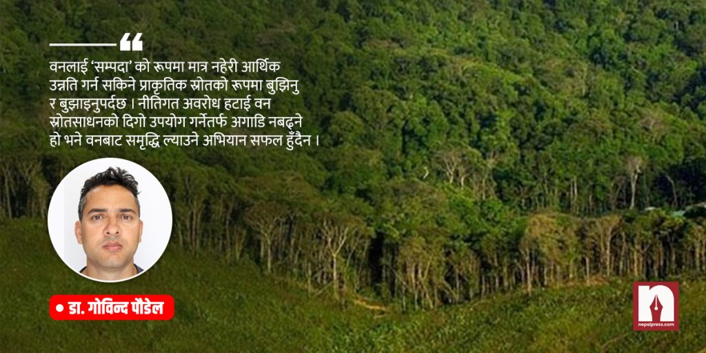 govinda poudel