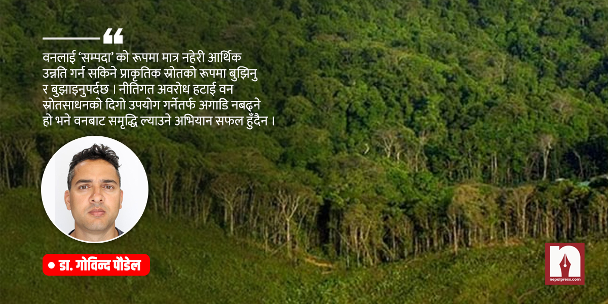 ‘प्राइभेट’ दुनियाँमा सामुदायिक वन